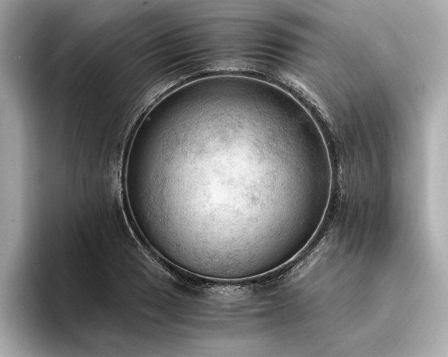 X0000094321033200711021348