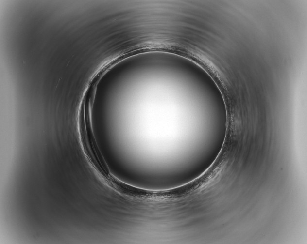 X0000094321034200711021348
