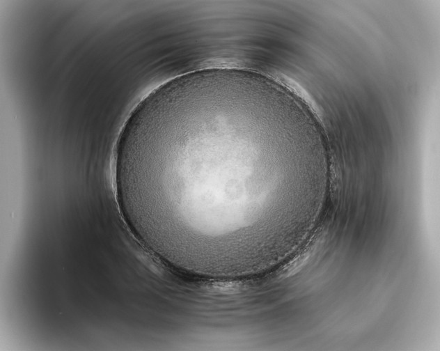 X0000094321035200711021348