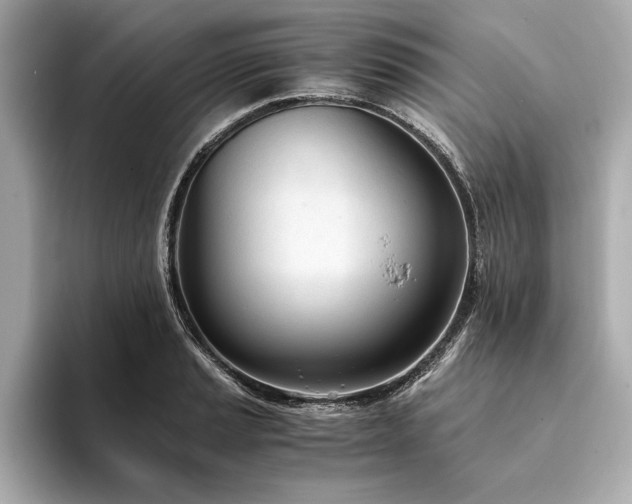 X0000094321037200711021348