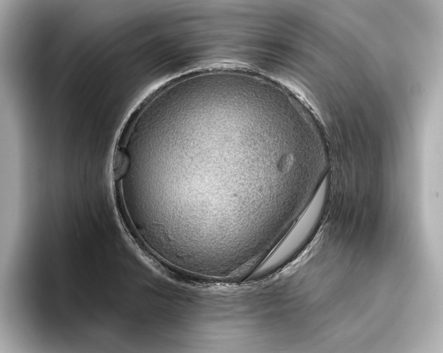 X0000094321038200711021348