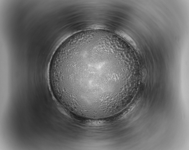 X0000094321039200711021348