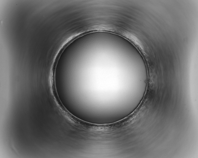 X0000094321040200711021348