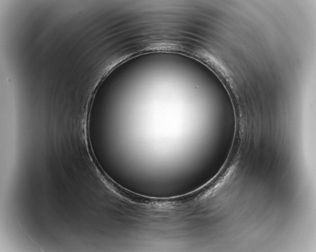 X0000094321041200711021348