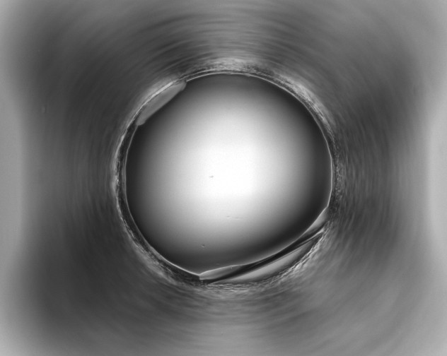 X0000094321042200711021348