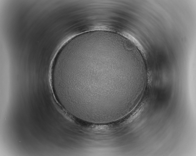 X0000094321043200711021348