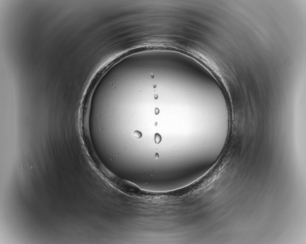 X0000094321045200711021348