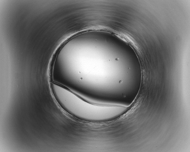 X0000094321046200711021348