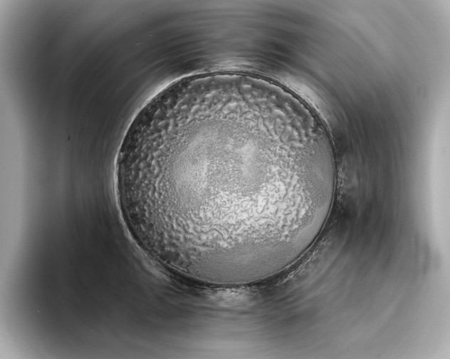 X0000094321047200711021348