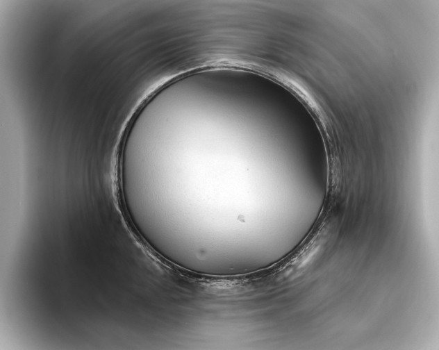 X0000094321048200711021348
