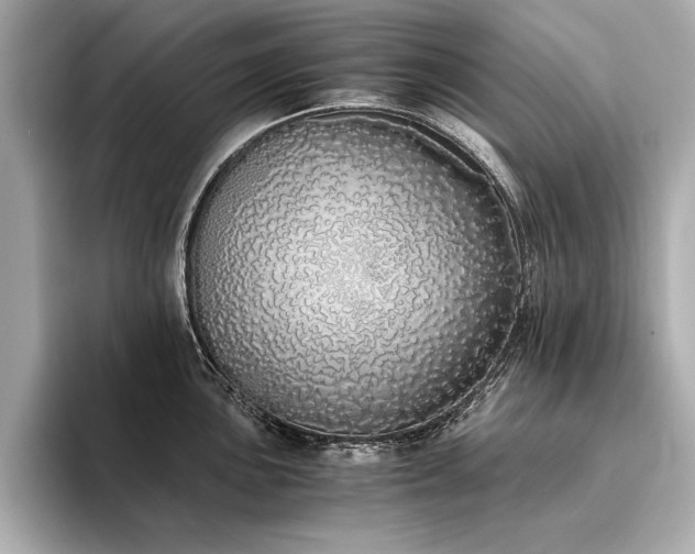 X0000094321051200711021348
