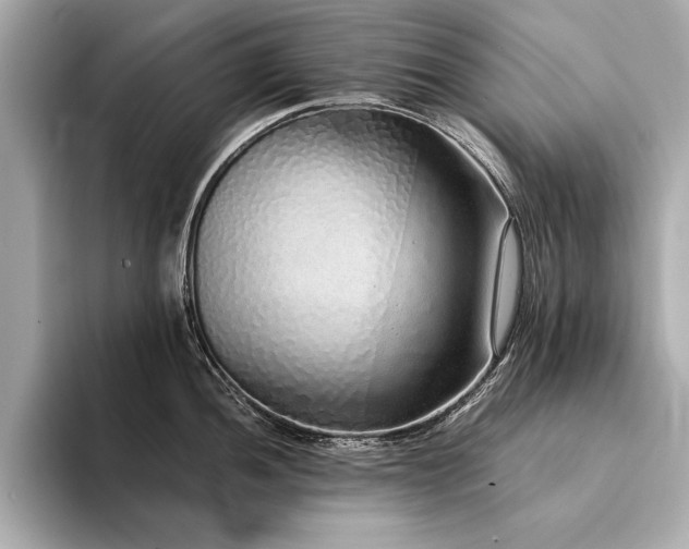 X0000094321052200711021348