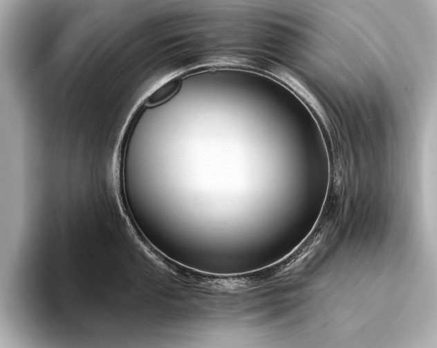 X0000094321053200711021348