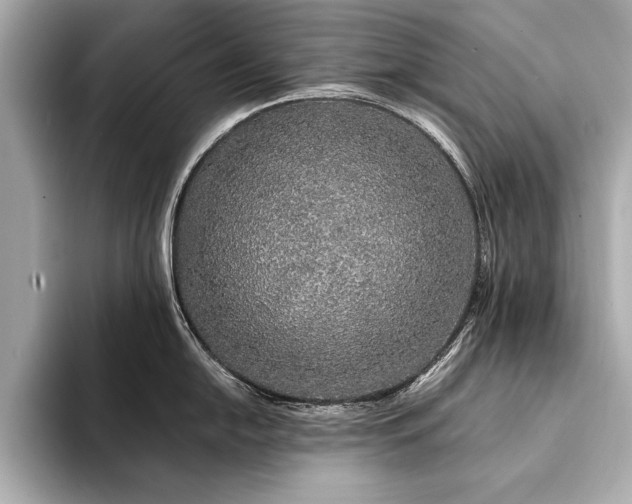 X0000094321054200711021348
