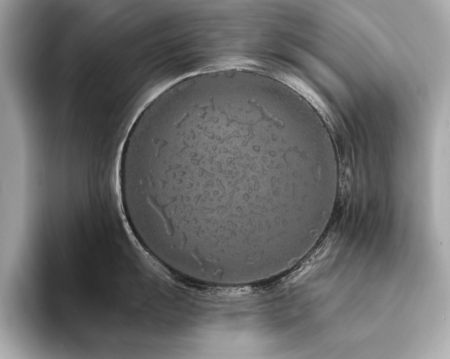 X0000094321055200711021348