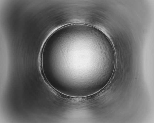 X0000094321056200711021348