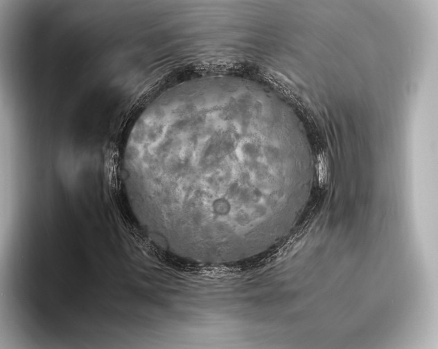 X0000094321059200711021348