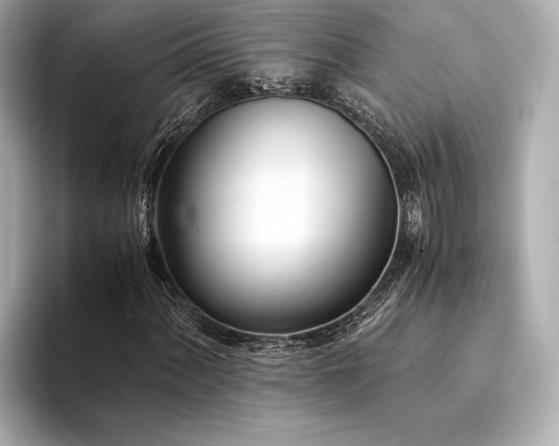 X0000094321060200711021348