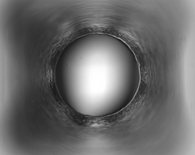 X0000094321061200711021348