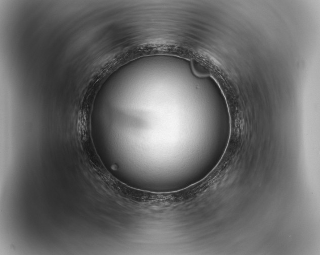 X0000094321062200711021348