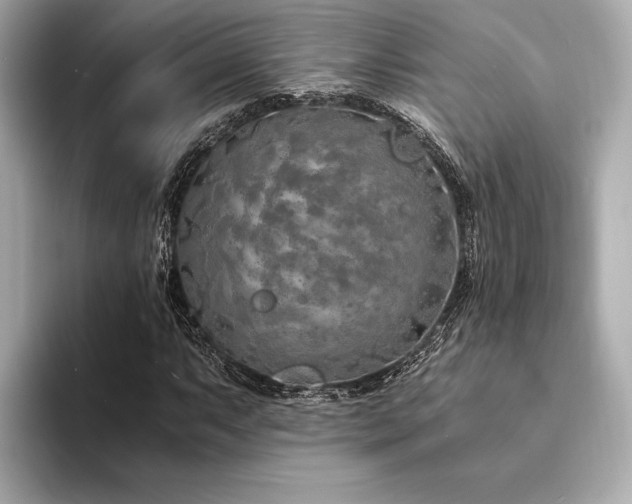 X0000094321063200711021347