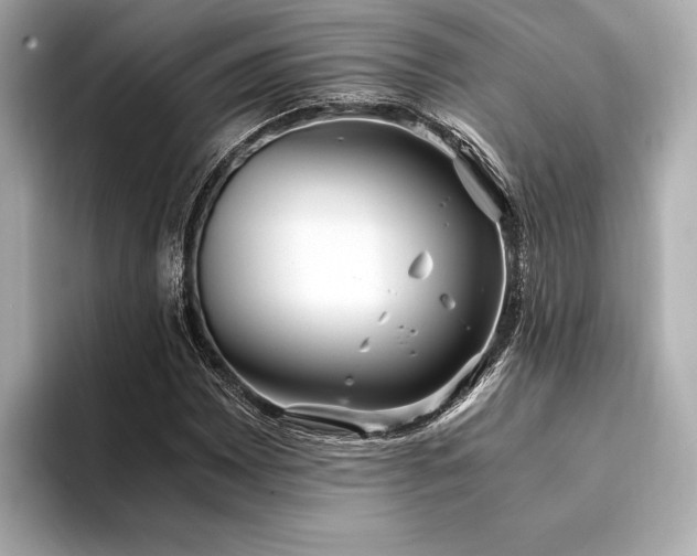X0000094321065200711021347