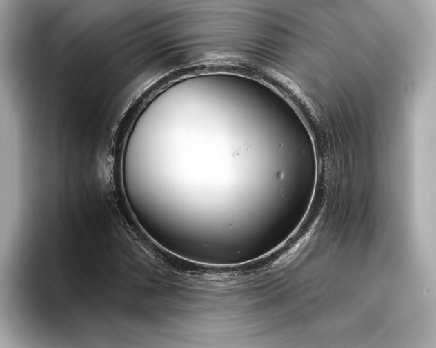 X0000094321066200711021347