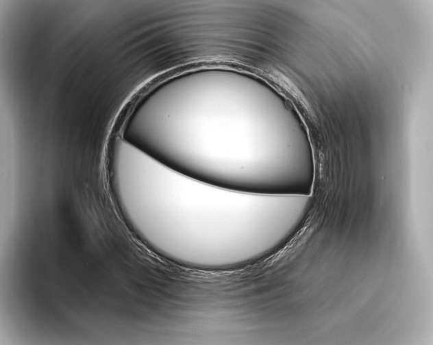 X0000094321068200711021347