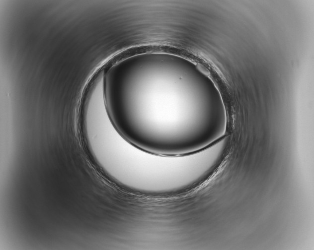 X0000094321069200711021347