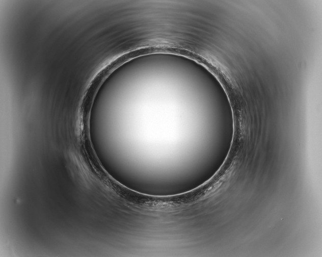 X0000094321070200711021347