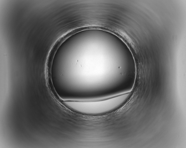 X0000094321072200711021347