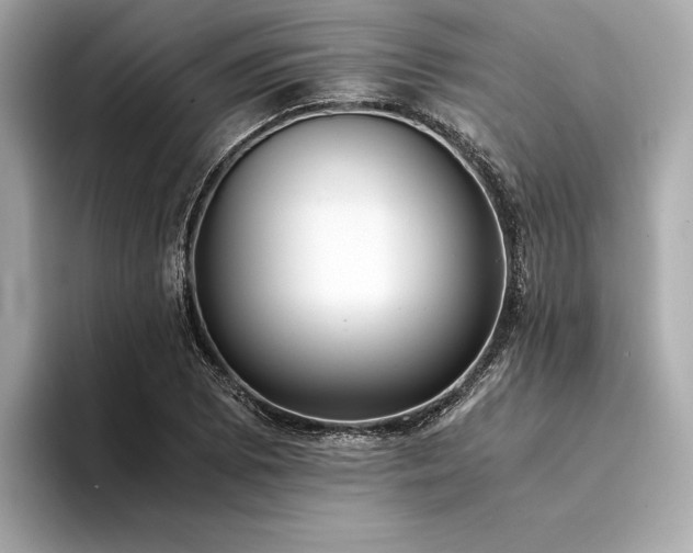 X0000094321073200711021347