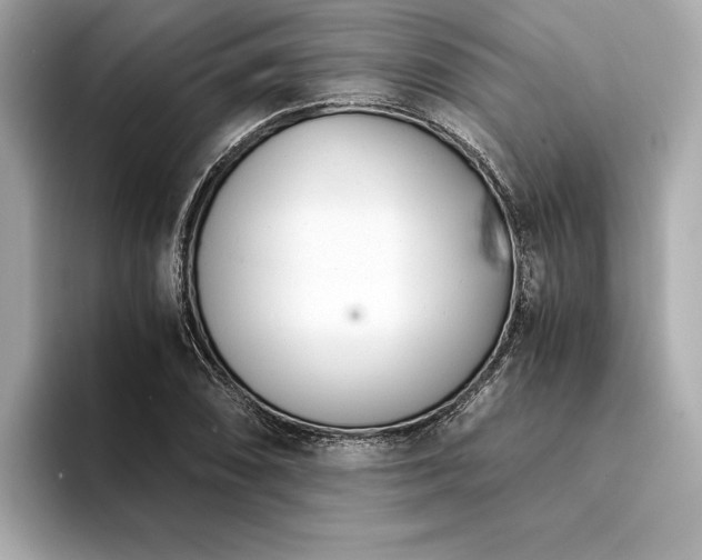 X0000094321074200711021347