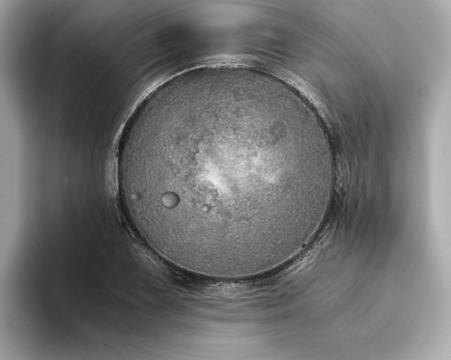 X0000094321075200711021347