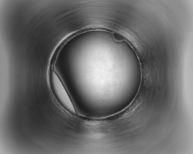 X0000094321076200711021347