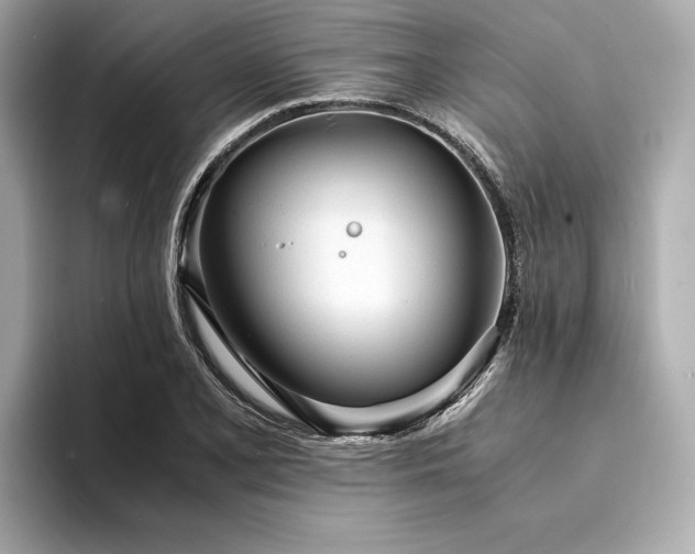 X0000094321077200711021347