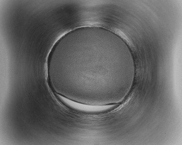 X0000094321079200711021347