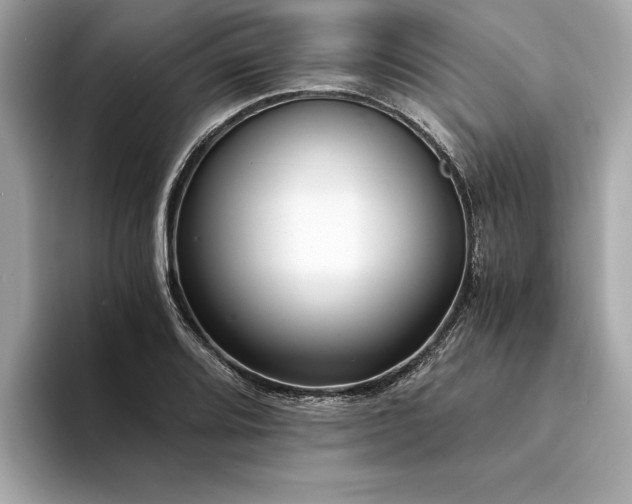 X0000094321080200711021347