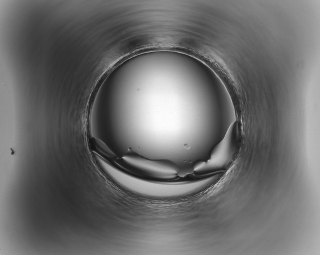 X0000094321081200711021347