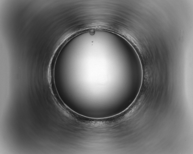 X0000094321082200711021347