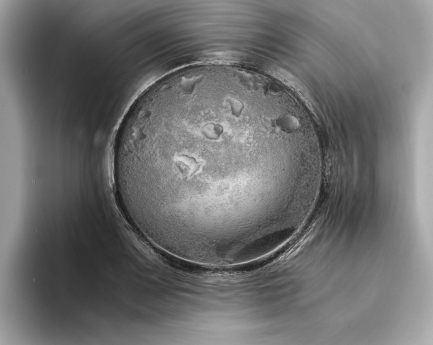 X0000094321083200711021347