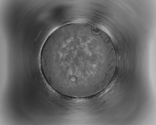X0000094321087200711021347