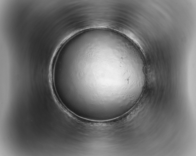 X0000094321088200711021347