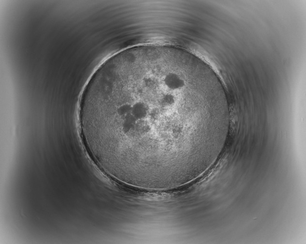 X0000094321091200711021347