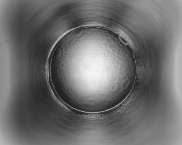 X0000094321092200711021347