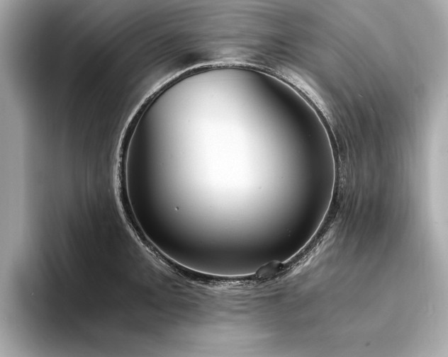 X0000094321093200711021347