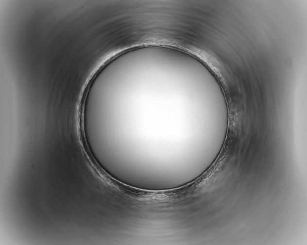 X0000094321094200711021347
