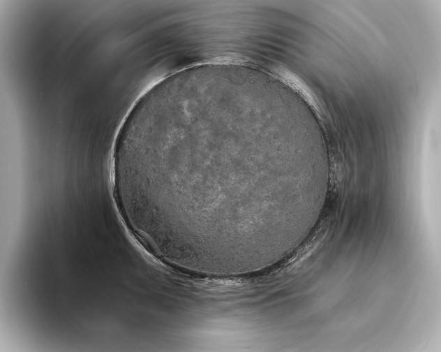 X0000094321095200711021347