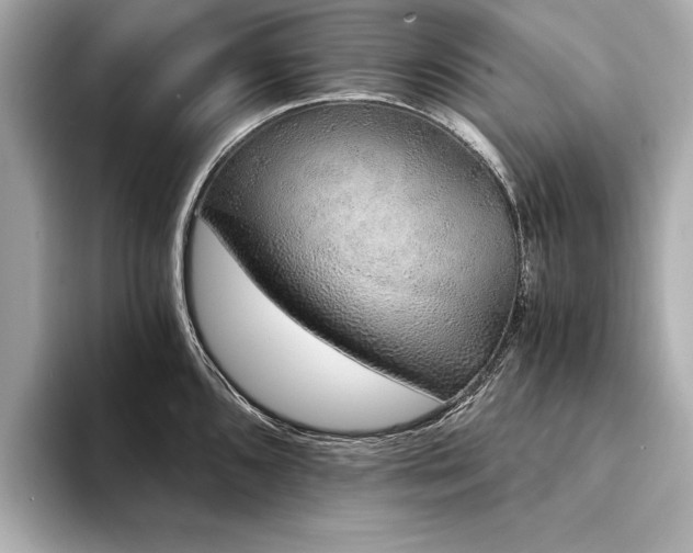 X0000094321096200711021347