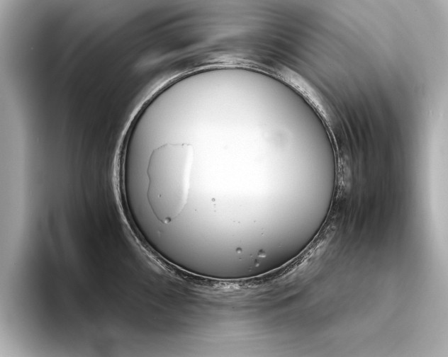 X0000094321098200711021347